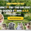 HitPaw Launches its 2025 Global Cat Tax Campaign with Top Prizes : National News